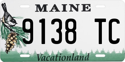 ME license plate 9138TC