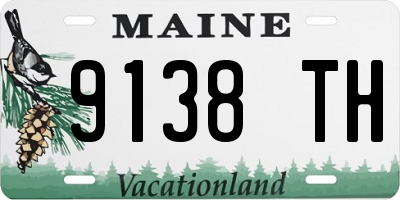 ME license plate 9138TH