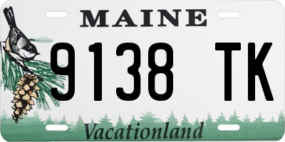 ME license plate 9138TK