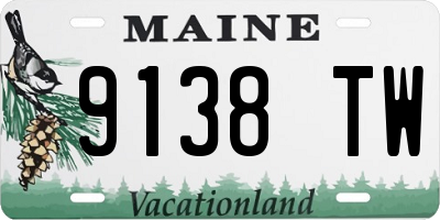 ME license plate 9138TW