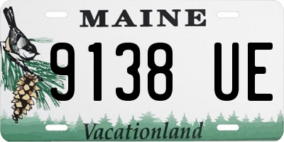 ME license plate 9138UE