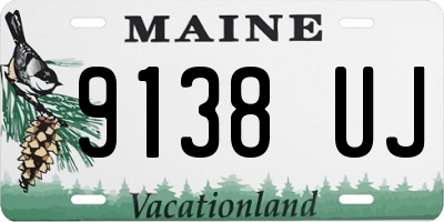 ME license plate 9138UJ