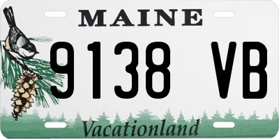 ME license plate 9138VB