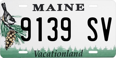 ME license plate 9139SV