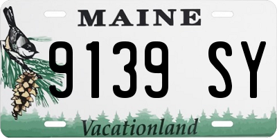ME license plate 9139SY