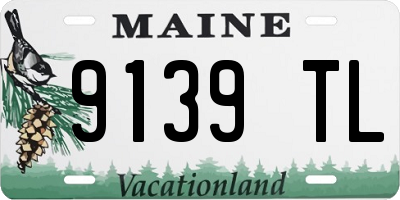 ME license plate 9139TL