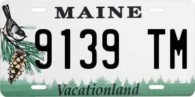 ME license plate 9139TM