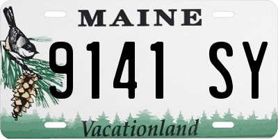 ME license plate 9141SY