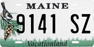 ME license plate 9141SZ