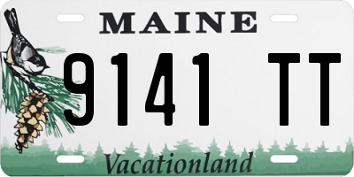 ME license plate 9141TT
