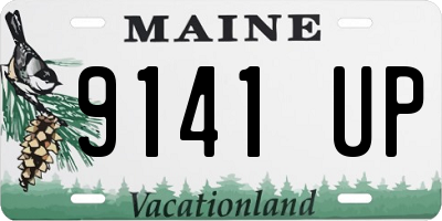ME license plate 9141UP