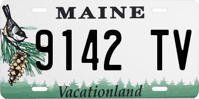ME license plate 9142TV