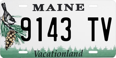 ME license plate 9143TV
