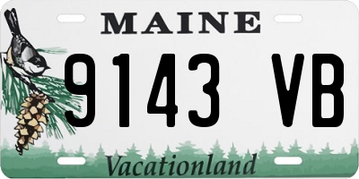 ME license plate 9143VB