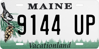 ME license plate 9144UP
