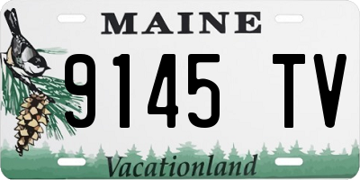 ME license plate 9145TV