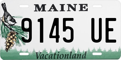 ME license plate 9145UE