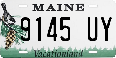 ME license plate 9145UY