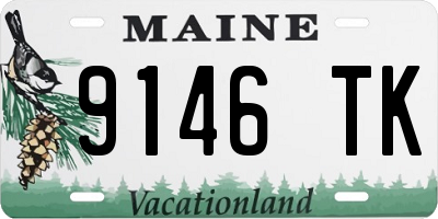 ME license plate 9146TK
