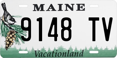 ME license plate 9148TV