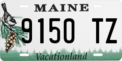 ME license plate 9150TZ
