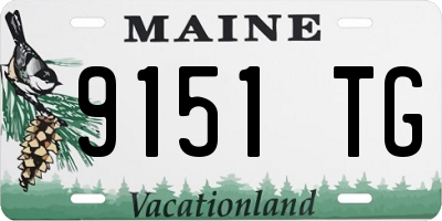ME license plate 9151TG