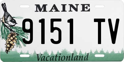 ME license plate 9151TV