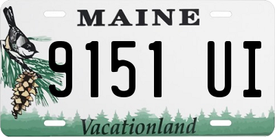 ME license plate 9151UI