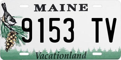 ME license plate 9153TV