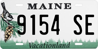 ME license plate 9154SE