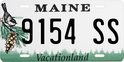 ME license plate 9154SS