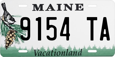 ME license plate 9154TA