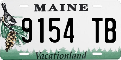 ME license plate 9154TB