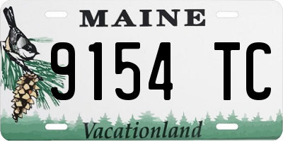 ME license plate 9154TC