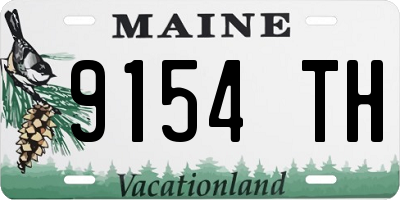 ME license plate 9154TH