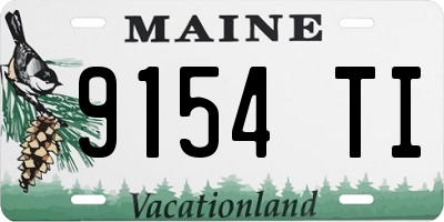 ME license plate 9154TI