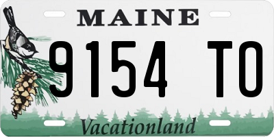 ME license plate 9154TO