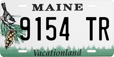 ME license plate 9154TR