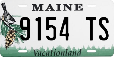 ME license plate 9154TS