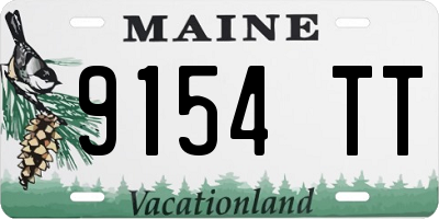ME license plate 9154TT