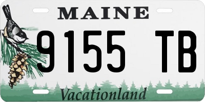 ME license plate 9155TB