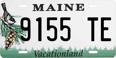 ME license plate 9155TE