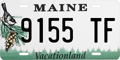 ME license plate 9155TF