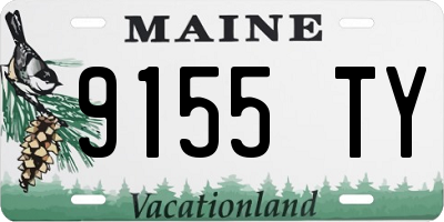 ME license plate 9155TY