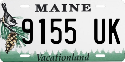 ME license plate 9155UK