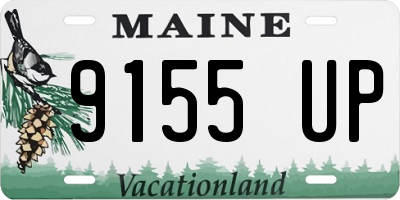 ME license plate 9155UP