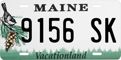 ME license plate 9156SK