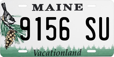 ME license plate 9156SU