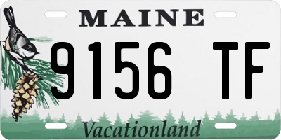 ME license plate 9156TF