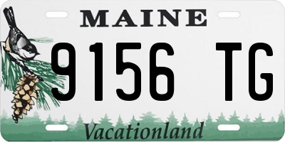ME license plate 9156TG